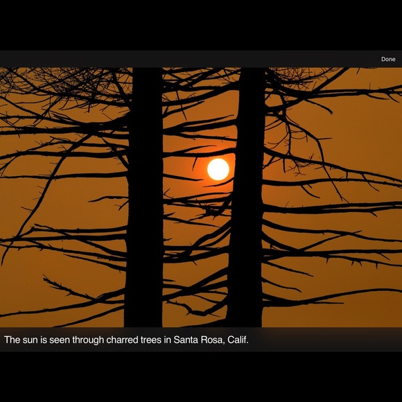 Meet your Posher, Mar - Picture 7 of 16